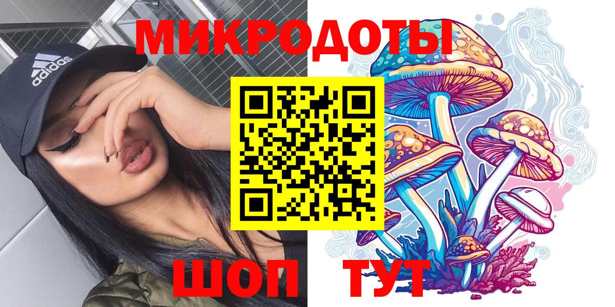 Галлюциногенные грибы Psilocybe Иркутск